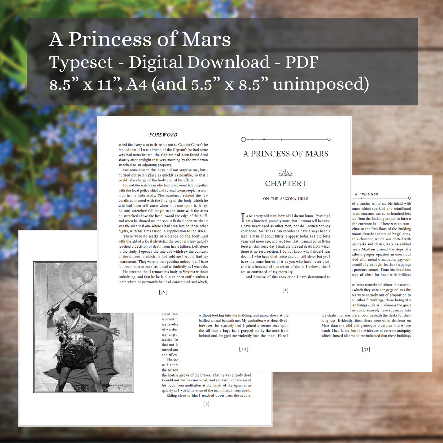 A Princess of Mars - Typeset - Digital Download